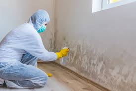 Why You Should Choose Our Mold Remediation Services in Perry, GA