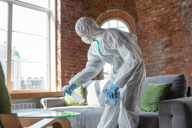 Perry, GA Mold Removal Services Company